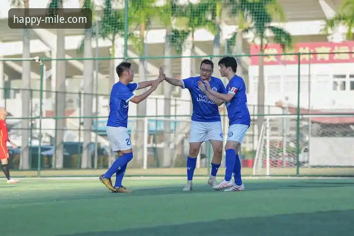 米乐M6正规平台实测：资深用户分享体育平台的实战经验与使用心得